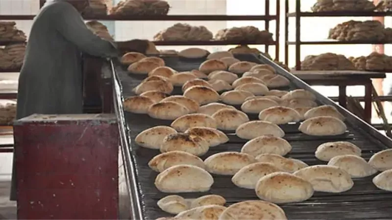 مواعيد عمل المخابز